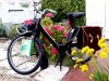 Solex_BArbat (1 von 1).jpg