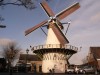 P1390084a.jpg (362.5 KiB) 8484 mal betrachtet Windmolen de Haas (2. Kontrollstelle)
