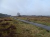 DSC06915a.jpg (49.12 KiB) 6792 mal betrachtet die Veluwe