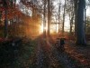 Sonnenaufgang im November  auf dem täglichen Weg zur Arbeit